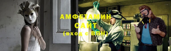 МДПВ Инсар