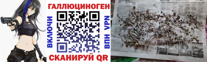 Галлюциногенные грибы Cubensis  Нягань 